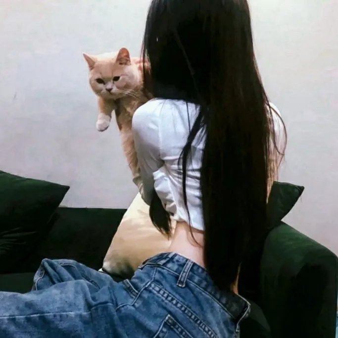 物超所值